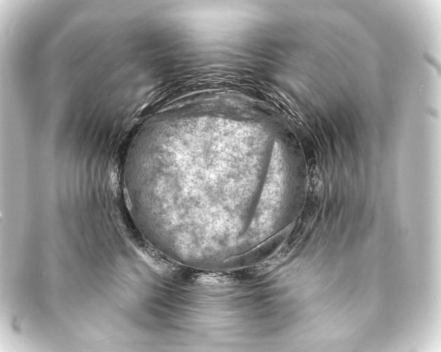 X0000093210568200710241159