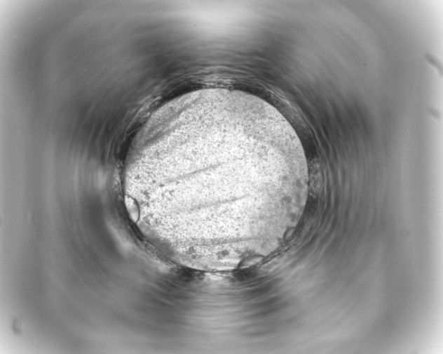 X0000093210573200710241159