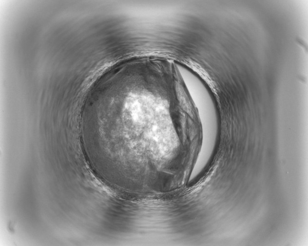X0000093210577200710241159