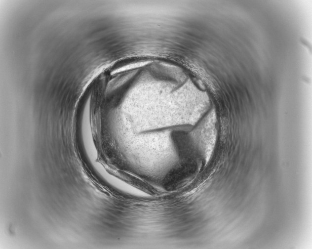 X0000093210580200710241159