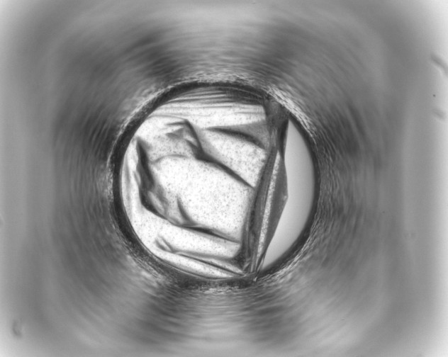 X0000093210584200710241159