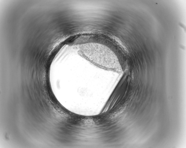 X0000093210588200710241159