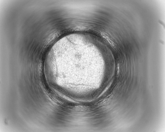 X0000093210591200710241159
