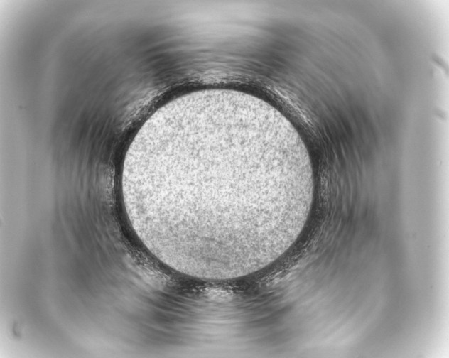 X0000093210592200710241159