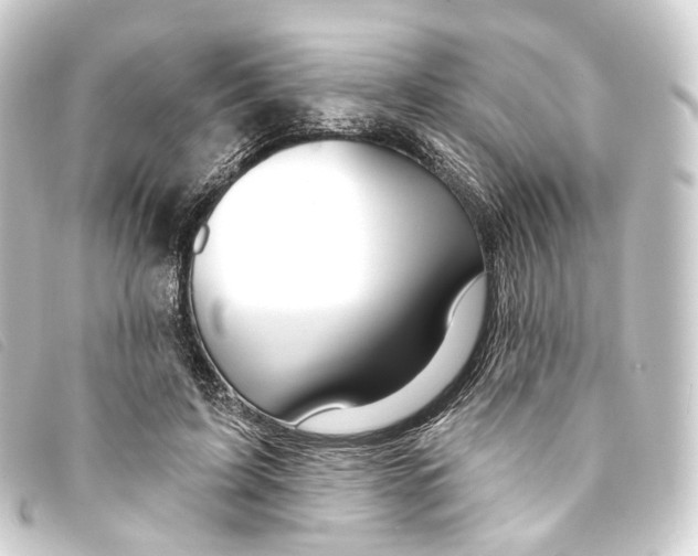 X0000093210595200710241159