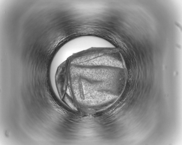 X0000093210600200710241159