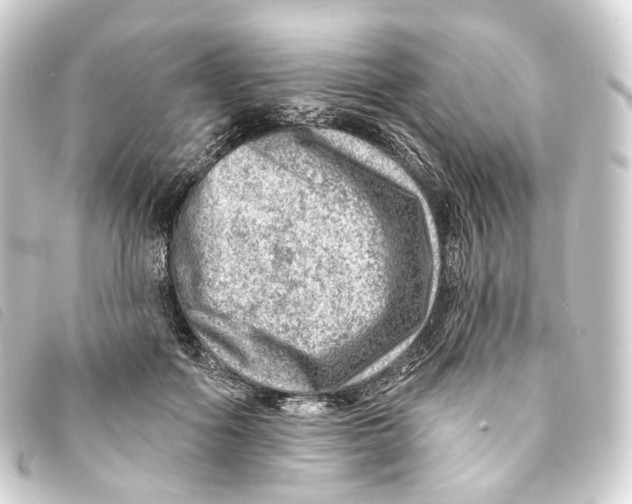 X0000093210602200710241159
