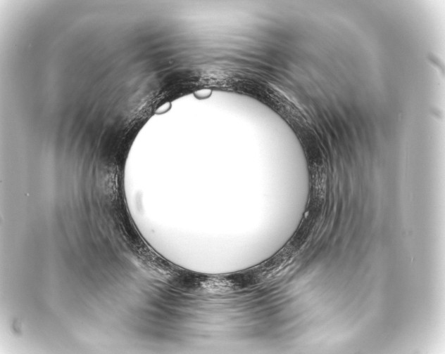 X0000093210603200710241159