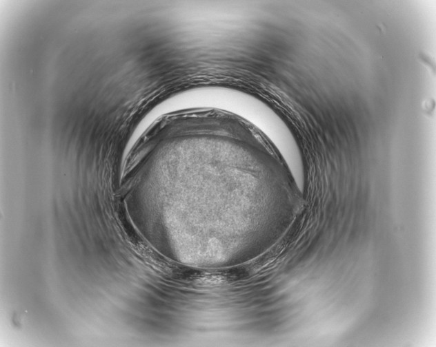 X0000093210604200710241159