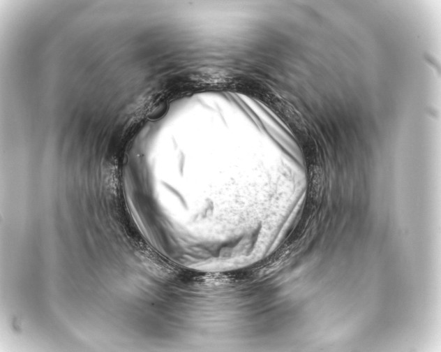 X0000093210612200710241158