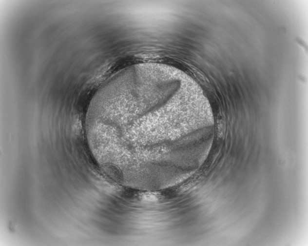 X0000093210618200710241158