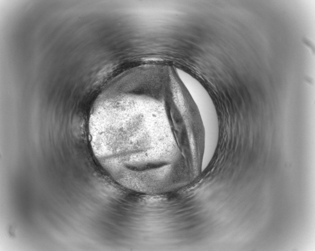 X0000093210619200710241158