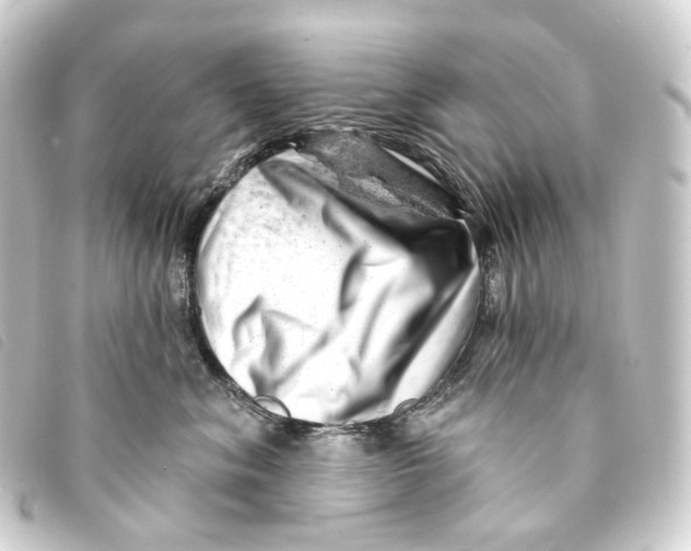 X0000093210620200710241158