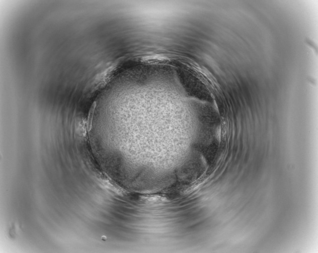 X0000093210621200710241158