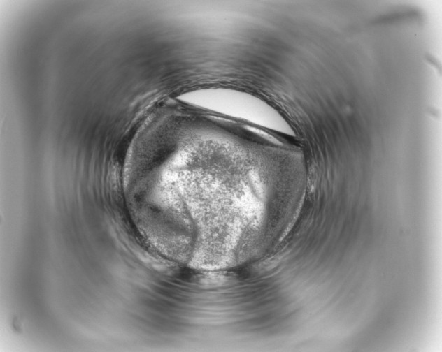 X0000093210623200710241158
