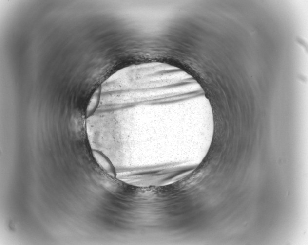 X0000093210624200710241158