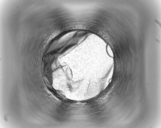 X0000093210625200710241158