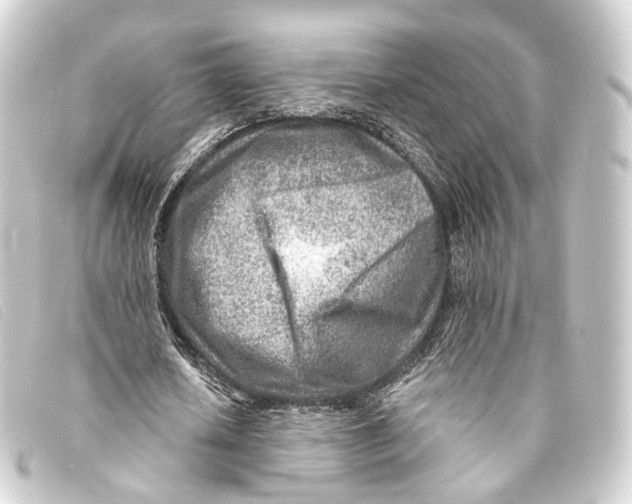 X0000093210626200710241158