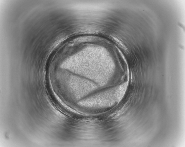 X0000093210627200710241158