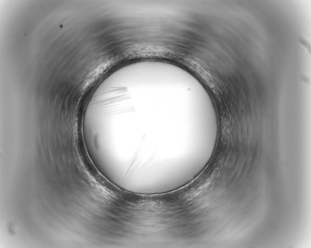 X0000093210629200710241158