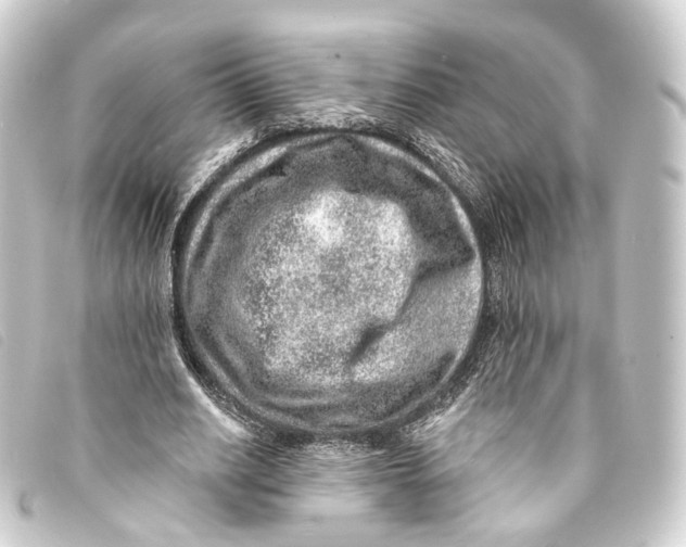 X0000093210630200710241158