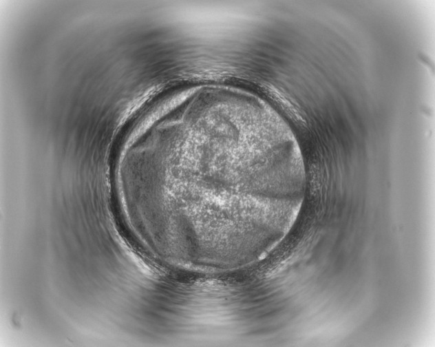 X0000093210634200710241158