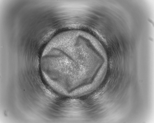 X0000093210637200710241158