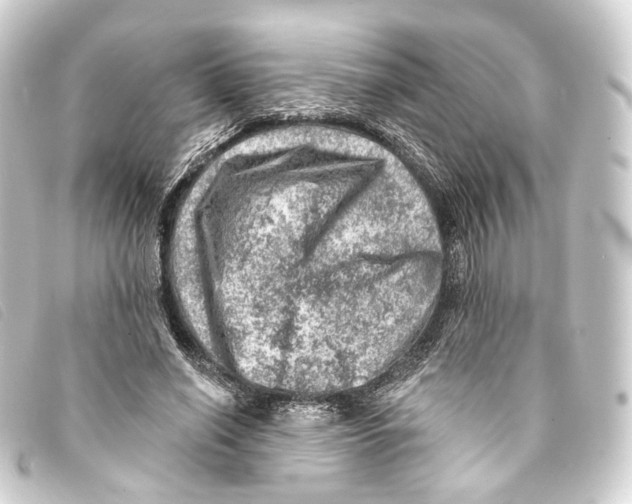 X0000093210638200710241158