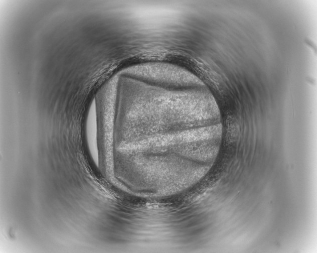 X0000093210641200710241158