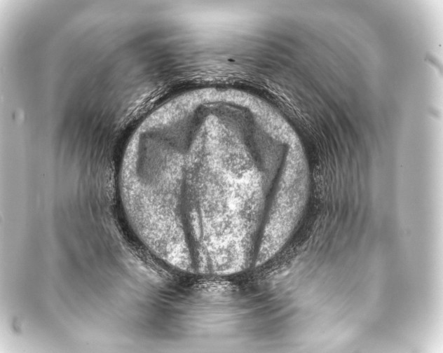 X0000093210642200710241158