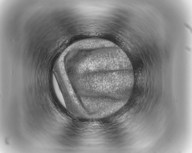 X0000093210643200710241158
