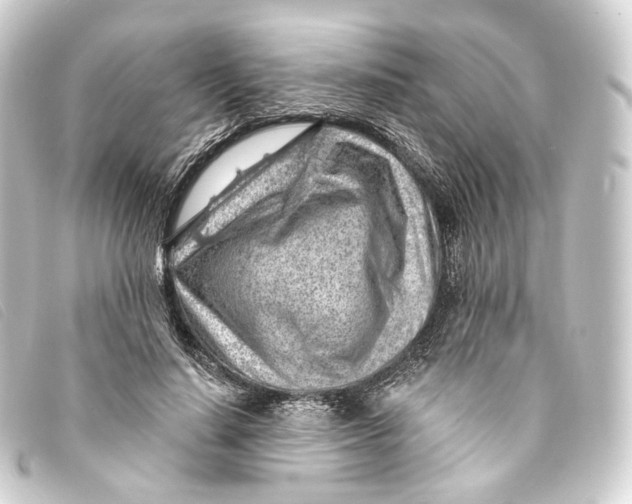 X0000093210644200710241158