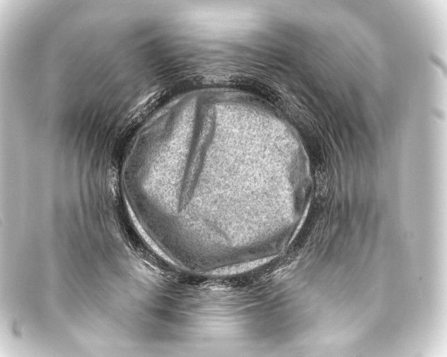 X0000093210648200710241158