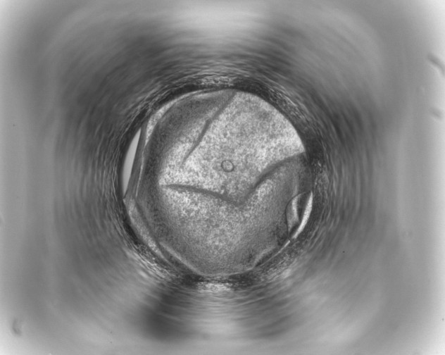 X0000093210649200710241158
