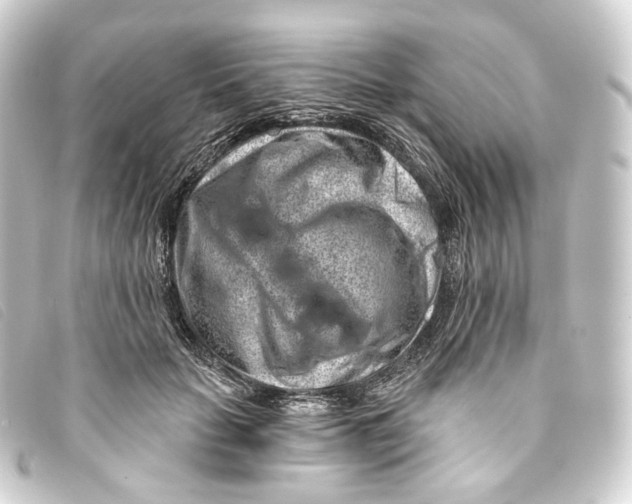 X0000093210653200710241158