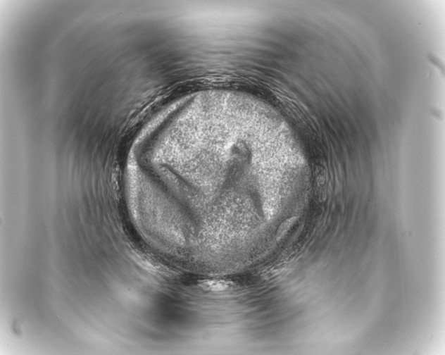 X0000093210654200710241158