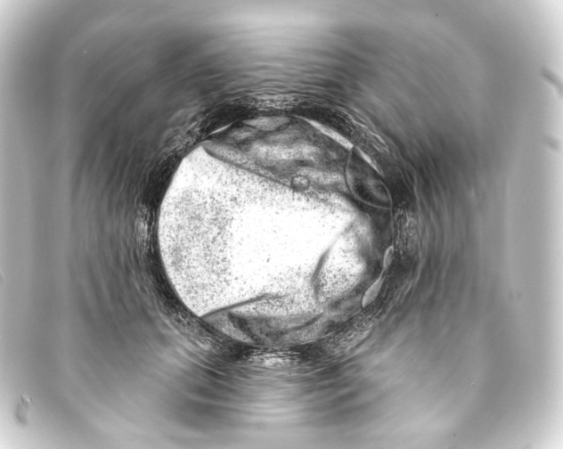 X0000093210655200710241158