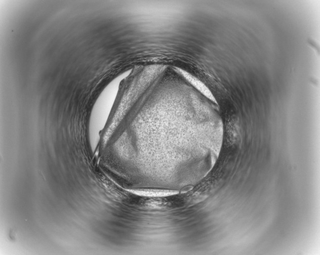 X0000093210657200710241158
