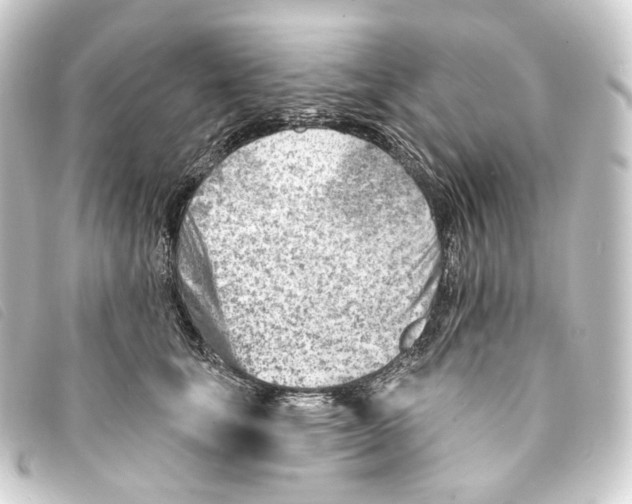 X0000093210659200710241158