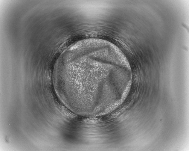 X0000093210661200710241158