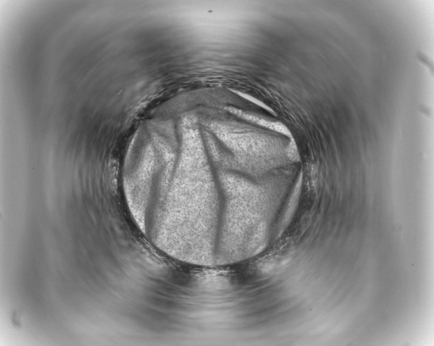 X0000093210664200710241158