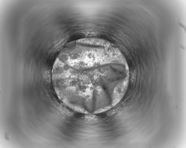 X0000093210666200710241158