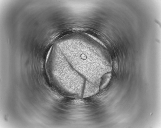 X0000093210668200710241158