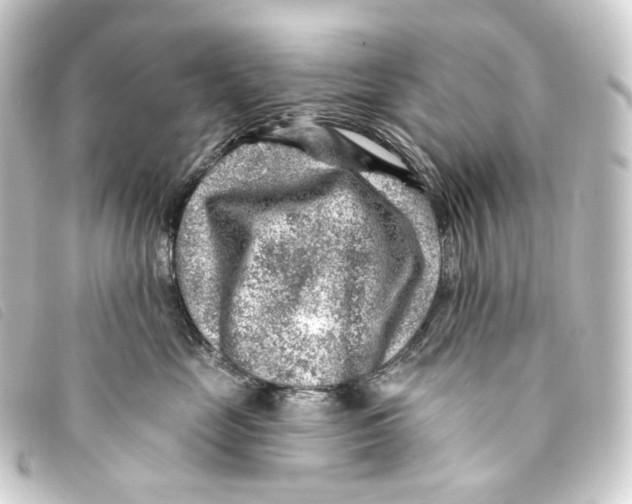 X0000093210669200710241158