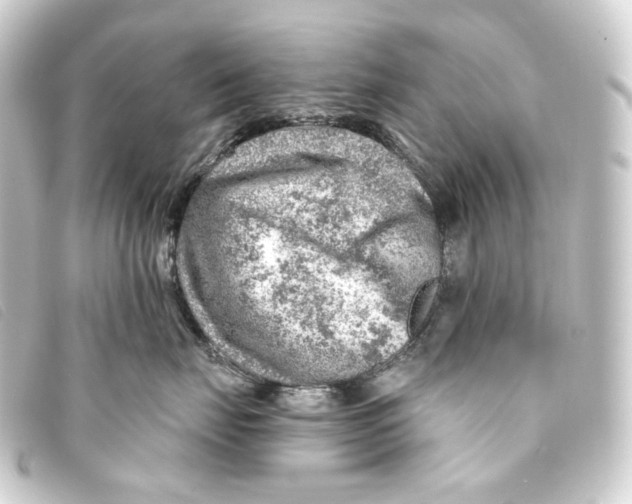 X0000093210671200710241158