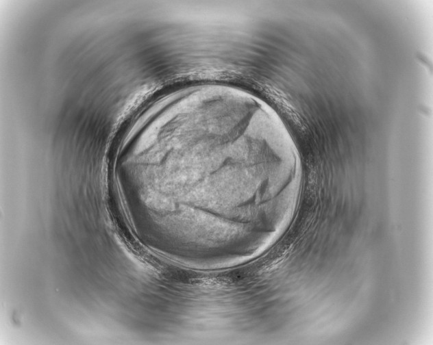 X0000093210678200710241158