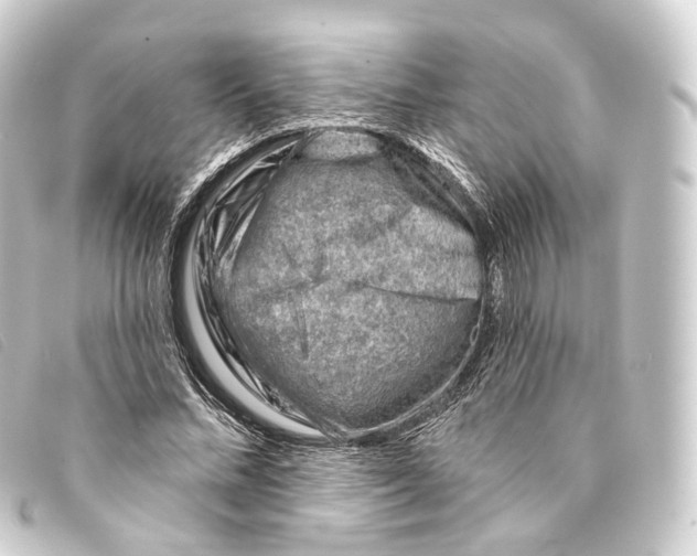 X0000093210684200710241157