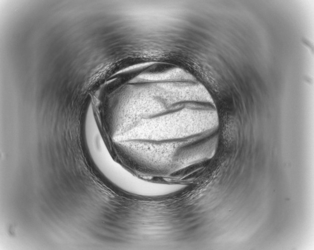 X0000093210689200710241157