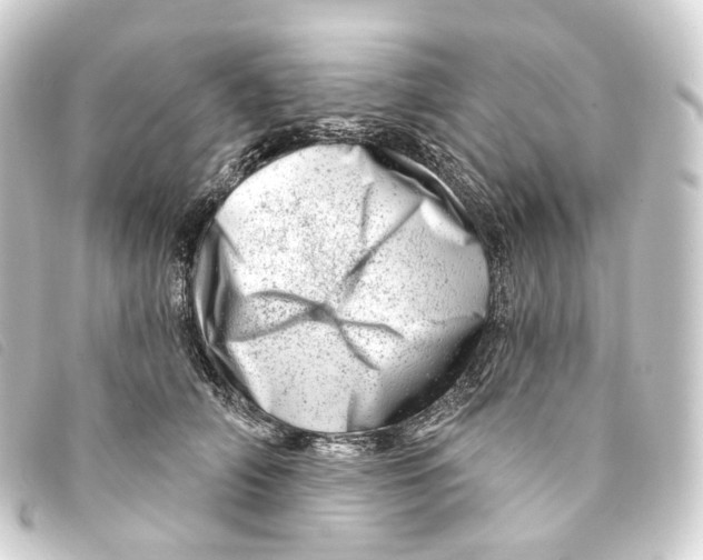 X0000093210706200710241157