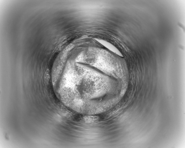 X0000093210707200710241157